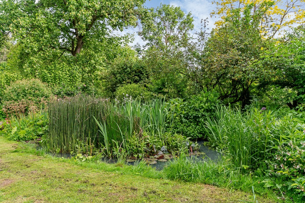 Tuin vijver.jpg